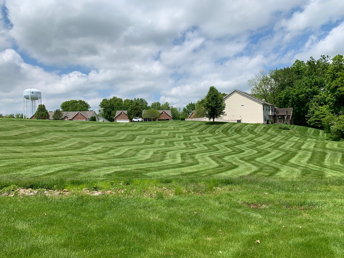 Fertilization and weed management