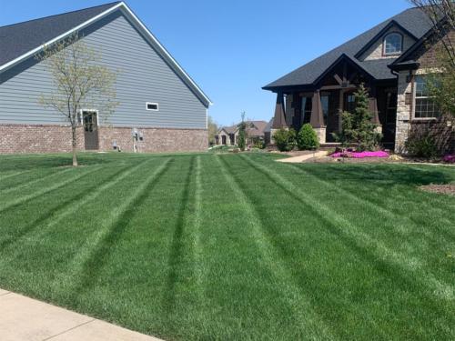 Turfology Lawn Care Projects