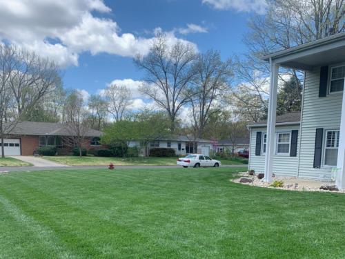 Turfology Lawn Care Projects