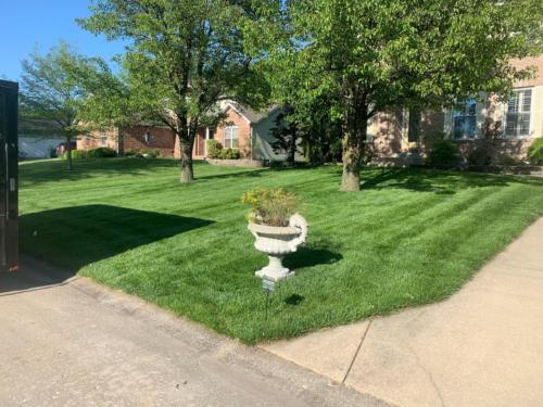 Turfology Lawn Care Projects